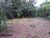 Terreno, 2 m² - Foto 6