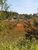 Terreno, 2 m² - Foto 4