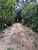 Terreno, 2 m² - Foto 8
