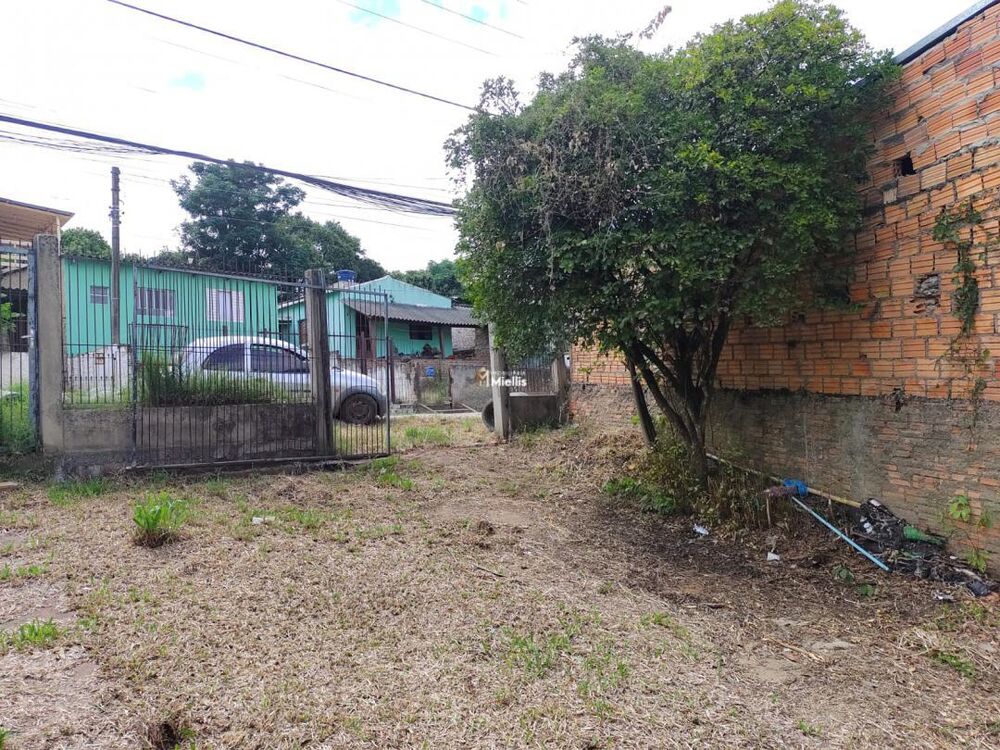 Casa, 2 quartos, 20 m² - Foto 4