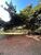 Apartamento, 2 quartos, 39 m² - Foto 16