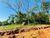 Terreno, 200 m² - Foto 5