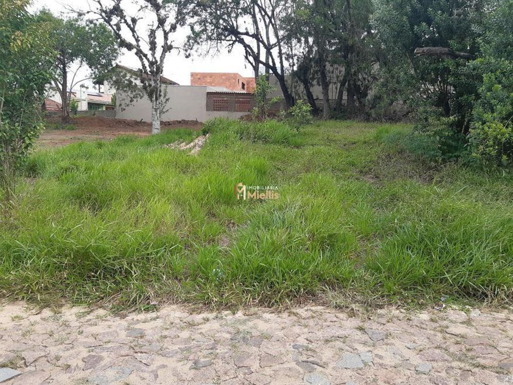 Terreno, 301 m² - Foto 3