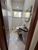 Casa, 5 quartos, 480 m² - Foto 4