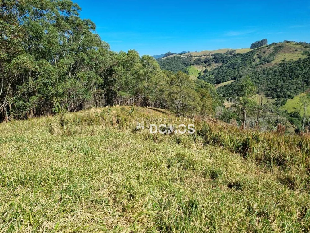 Terreno, 7 hectares - Foto 1