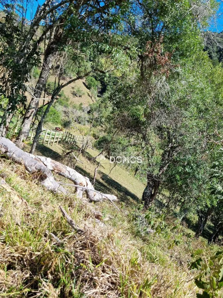 Terreno, 7 hectares - Foto 4