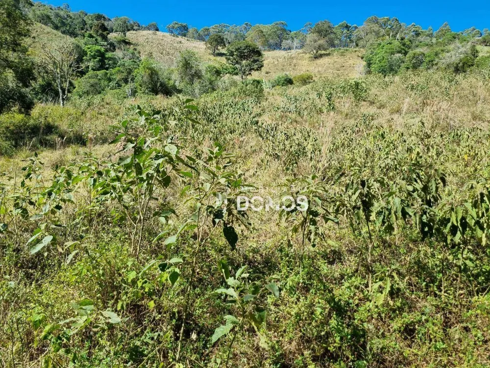 Terreno, 7 hectares - Foto 3