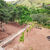 Chácara, 2 quartos, 1000 m² - Foto 13