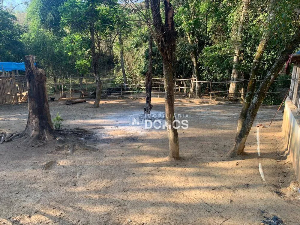 Chácara, 3 quartos, 5000 m² - Foto 4