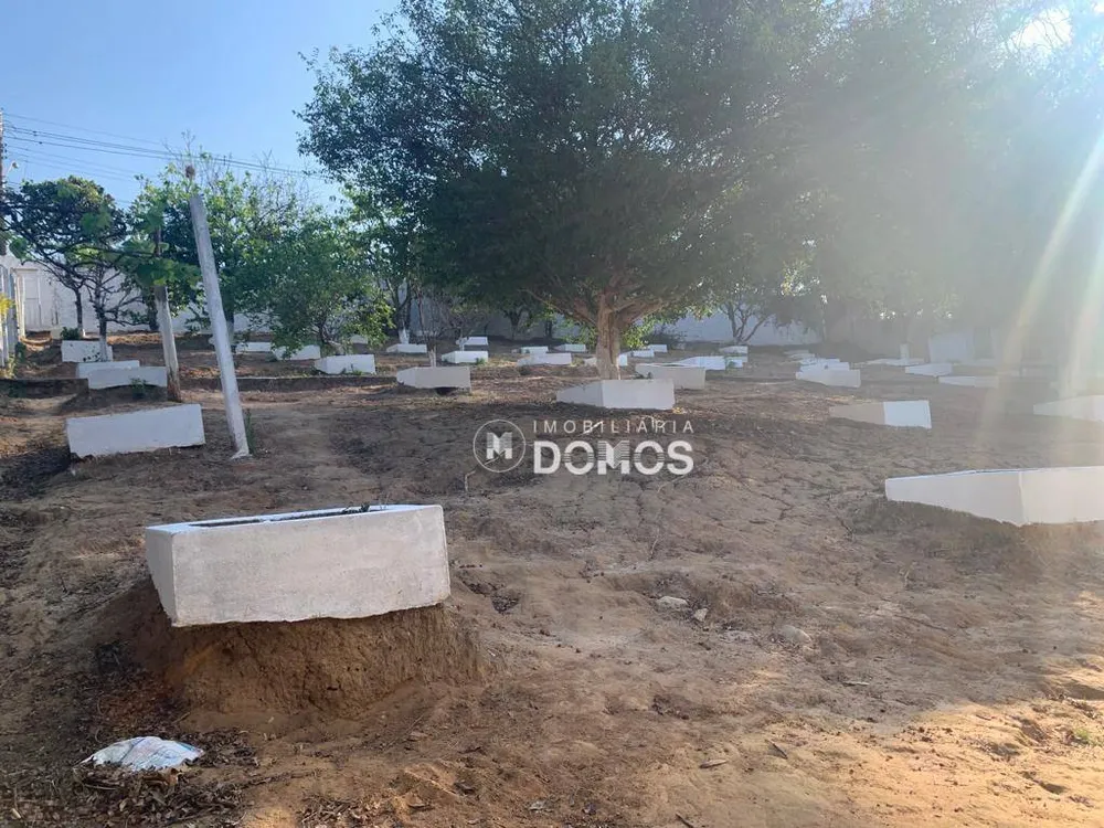 Chácara, 3 quartos, 5000 m² - Foto 2