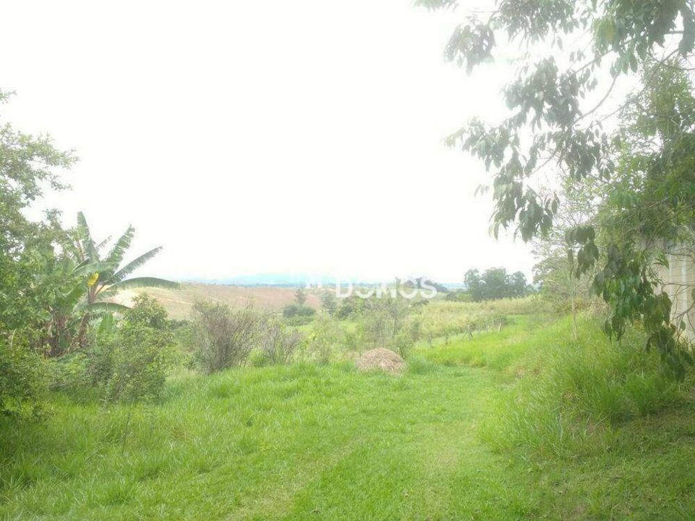 Sítio à venda com 3 quartos, 96800M2 - Foto 8