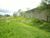 Sítio, 3 quartos, 10 hectares - Foto 6