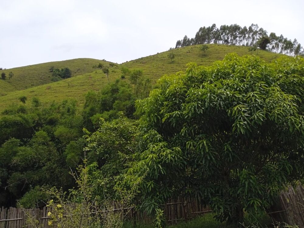 Sítio à venda com 4 quartos, 145000M2 - Foto 2