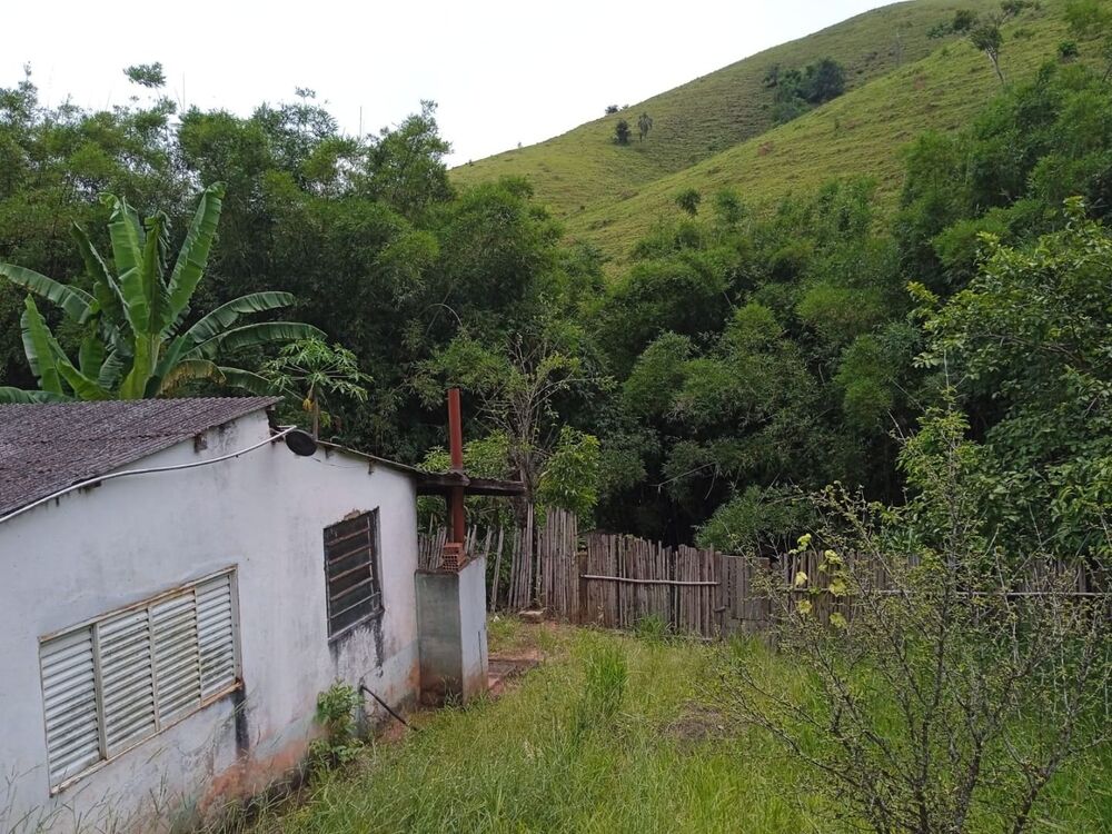 Sítio à venda com 4 quartos, 145000M2 - Foto 3