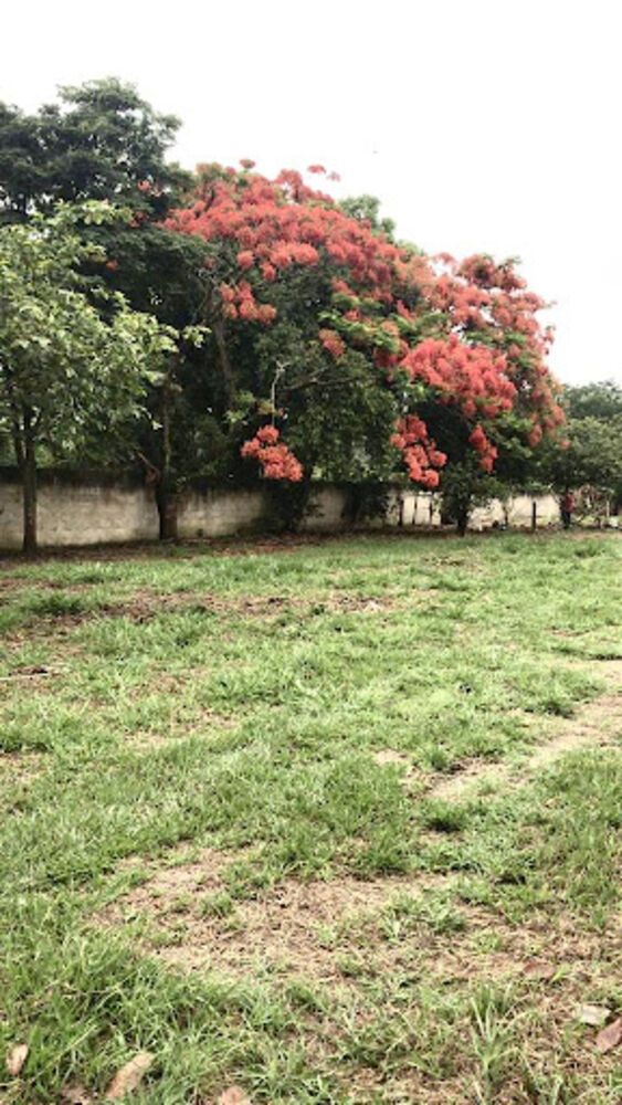 Terreno, 1862 m² - Foto 3