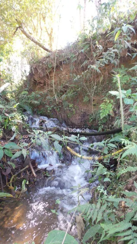 Sítio, 3 quartos, 6 hectares - Foto 16