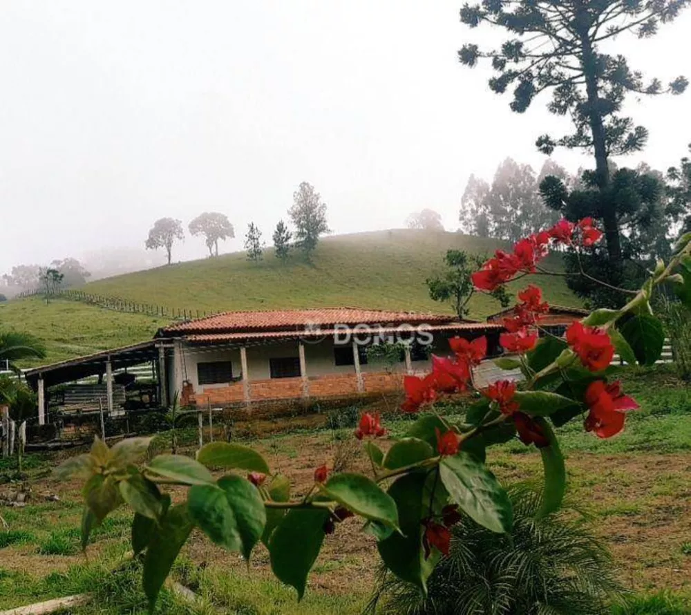 Sítio, 3 quartos, 6 hectares - Foto 4