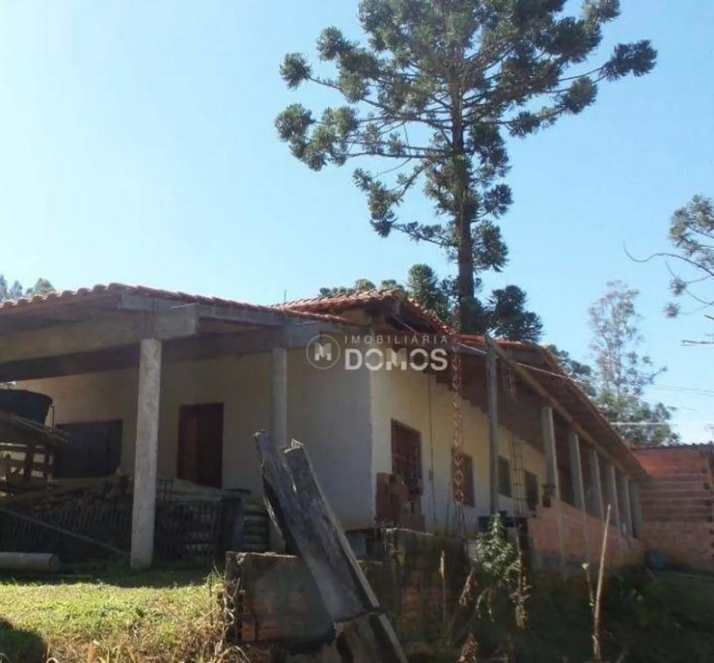 Sítio à venda com 3 quartos, 56000M2 - Foto 5