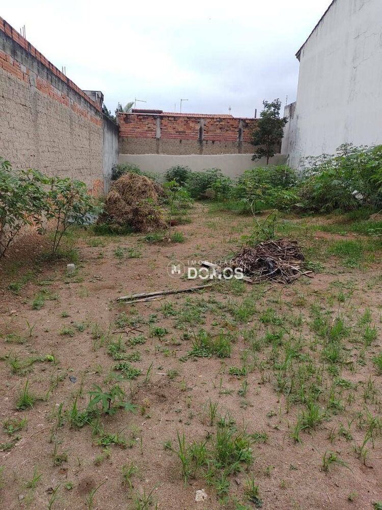 Terreno, 250 m² - Foto 4