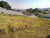 Terreno, 732 m² - Foto 1