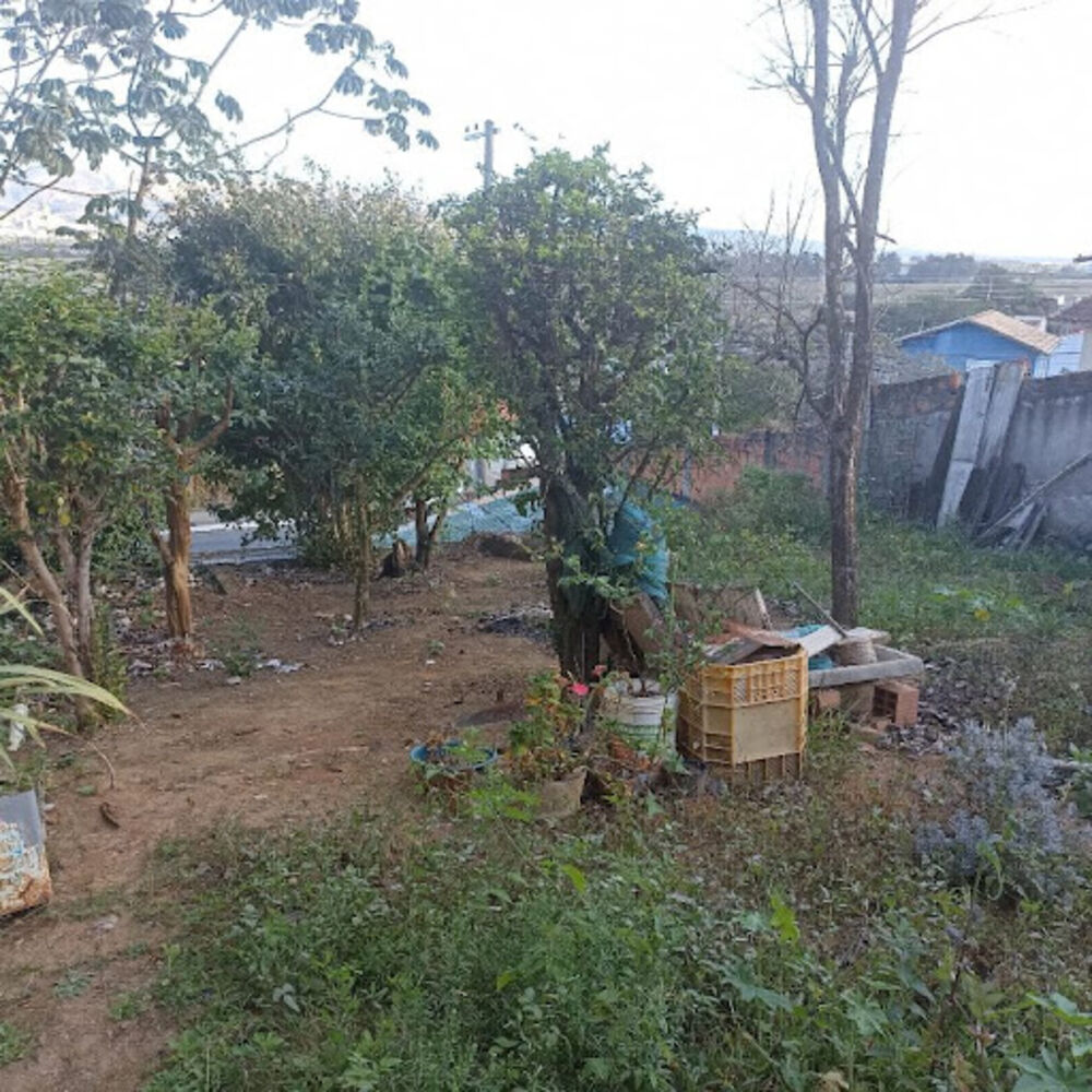 Terreno, 250 m² - Foto 4