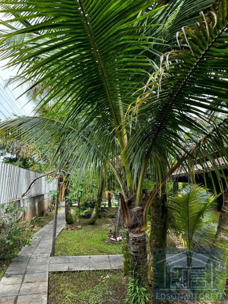 Casa, 4 quartos, 219 m² - Foto 4