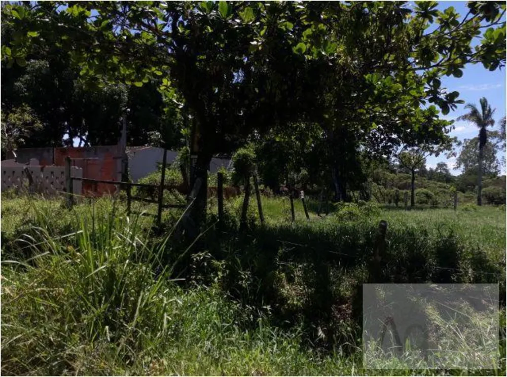Terreno, 2600 m² - Foto 4