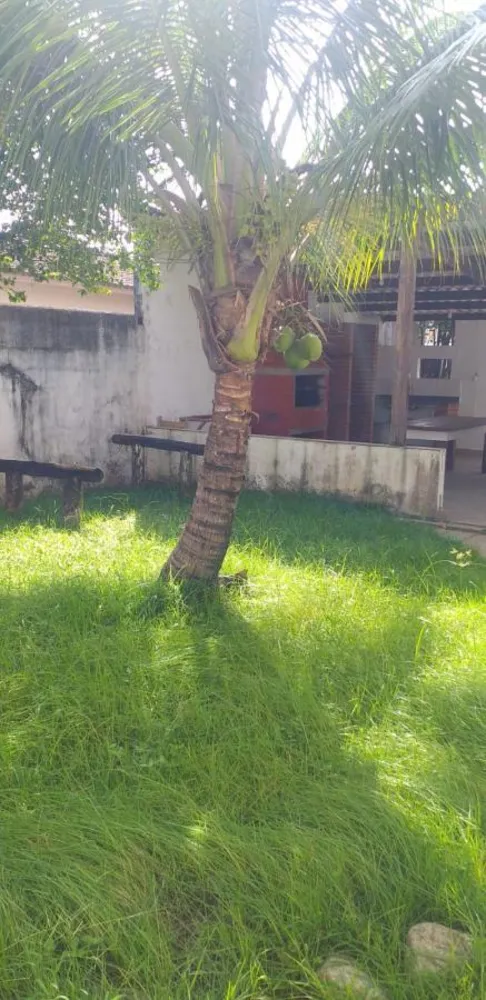 Casa, 4 quartos - Foto 4