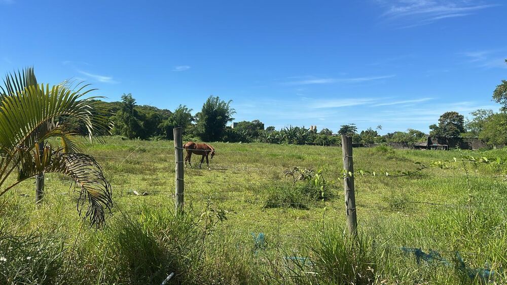 Terreno, 1 hectares - Foto 3