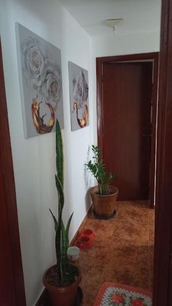 Casa, 2 quartos - Foto 23