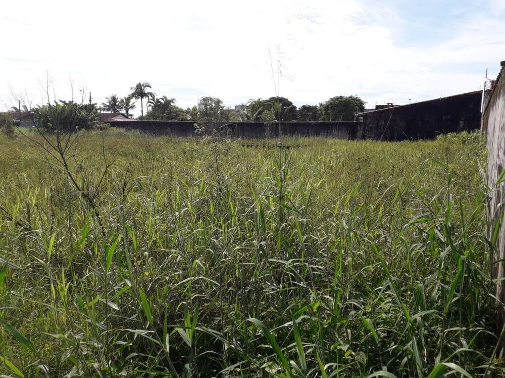 Terreno, 376 m² - Foto 13