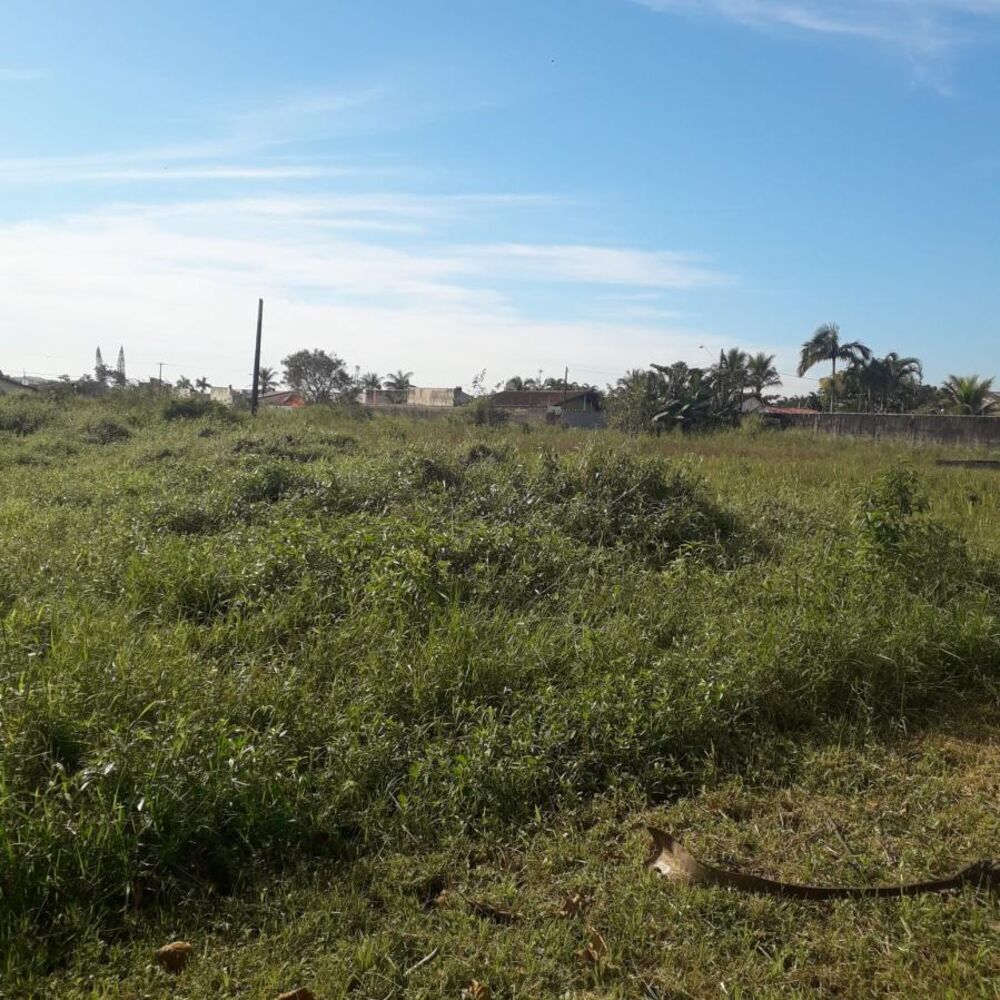 Terreno, 376 m² - Foto 6