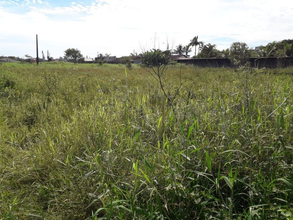 Terreno, 376 m² - Foto 18