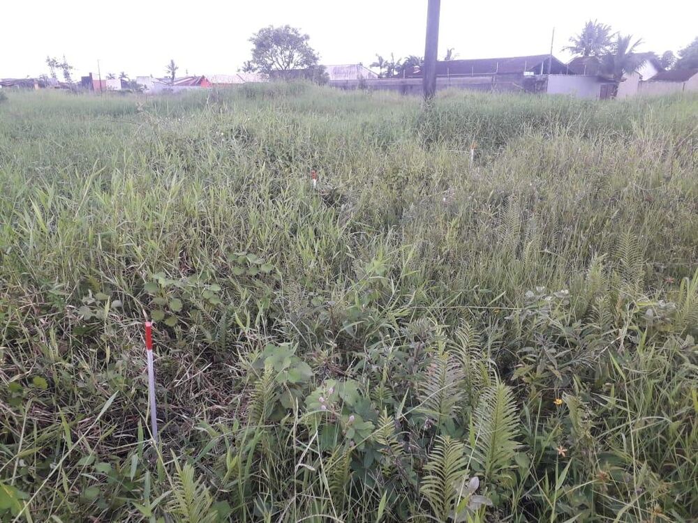 Terreno, 376 m² - Foto 14