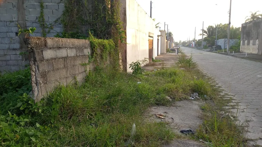 Terreno, 307 m² - Foto 5