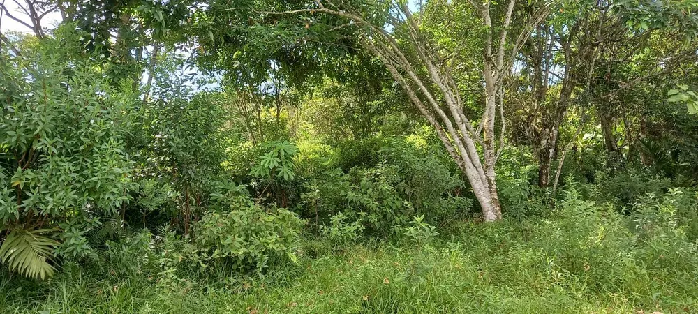 Terreno, 1000 m² - Foto 14