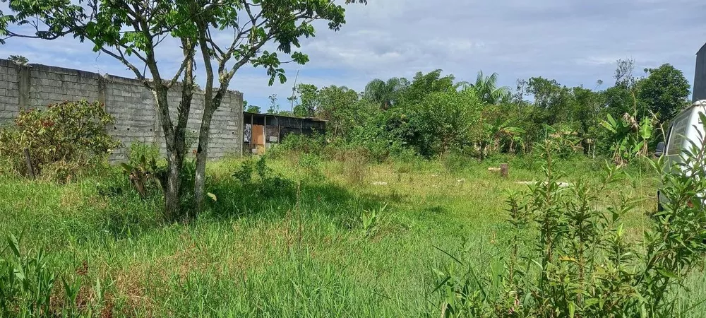 Terreno, 1000 m² - Foto 1