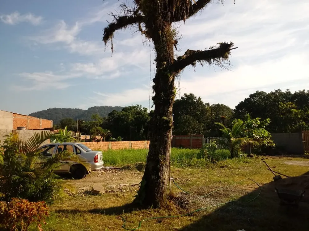 Terreno, 900 m² - Foto 5