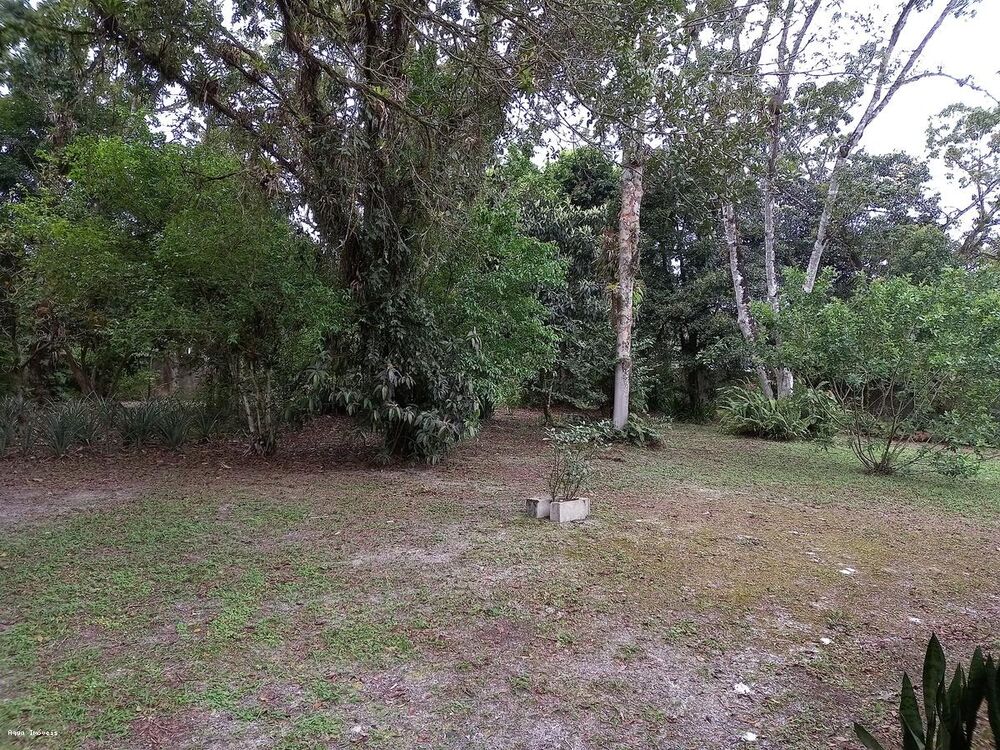 Chácara, 3 quartos, 5423 m² - Foto 13