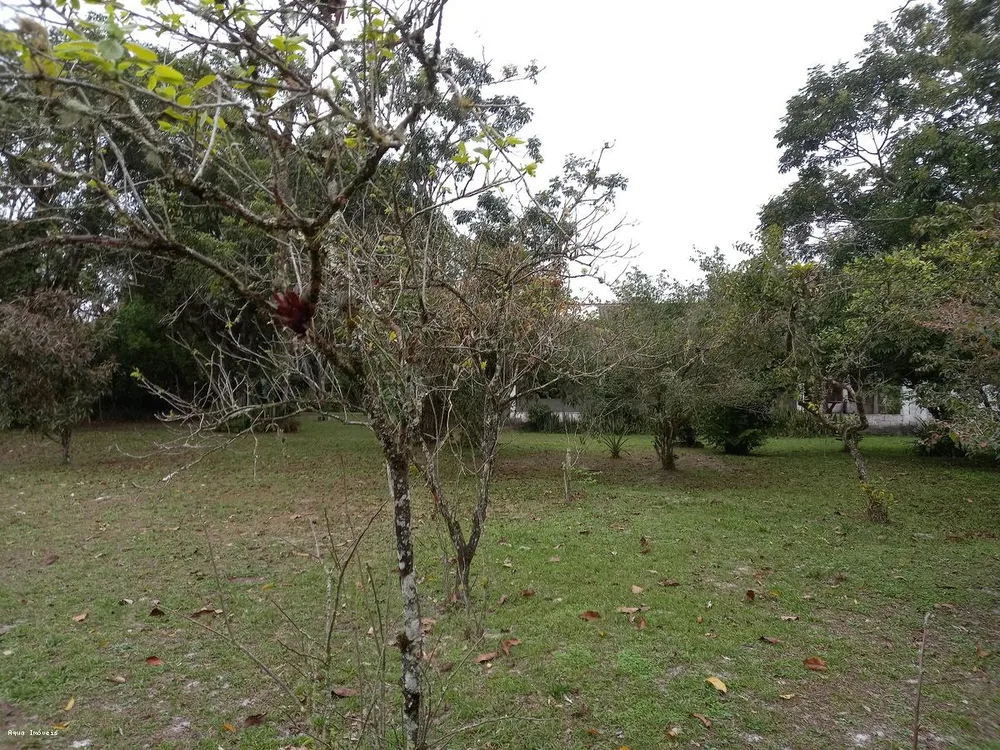Chácara, 3 quartos, 5423 m² - Foto 8