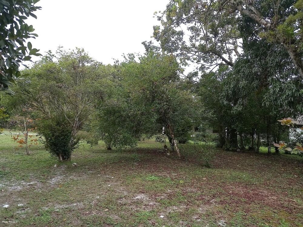 Chácara, 3 quartos, 5423 m² - Foto 4