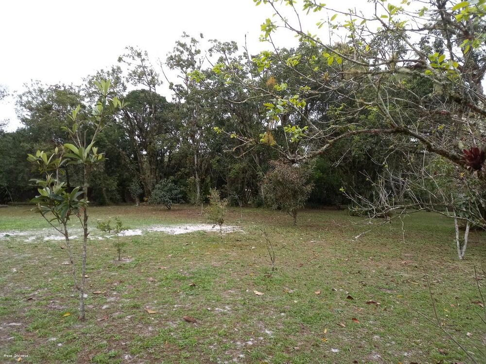 Chácara, 3 quartos, 5423 m² - Foto 10