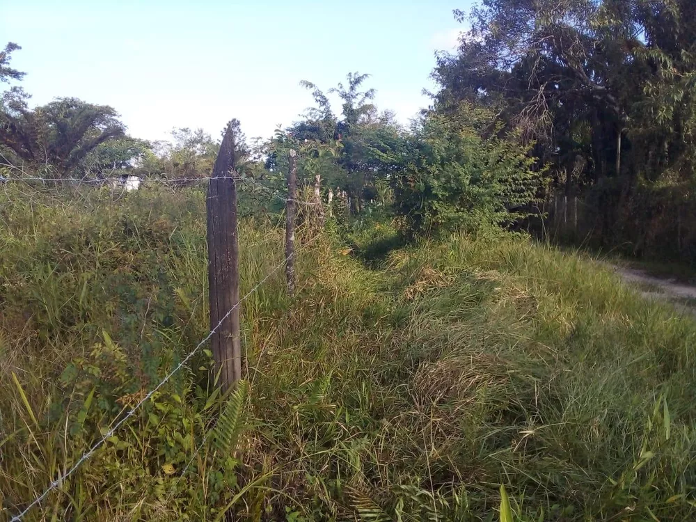 Terreno à venda, 1000m² - Foto 2