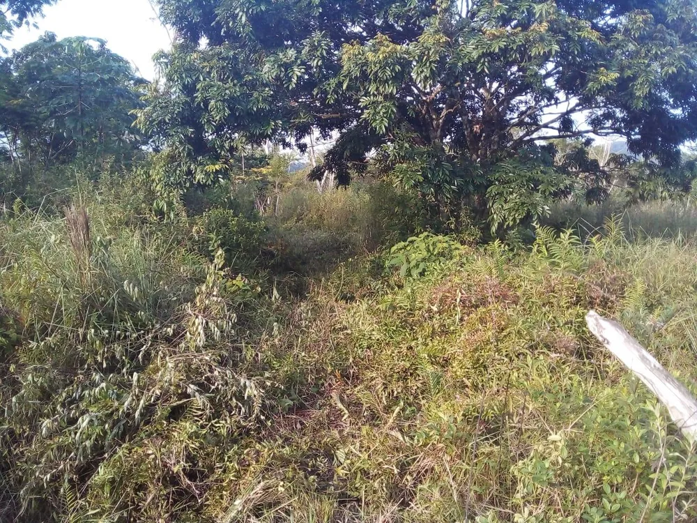Terreno, 1000 m² - Foto 13