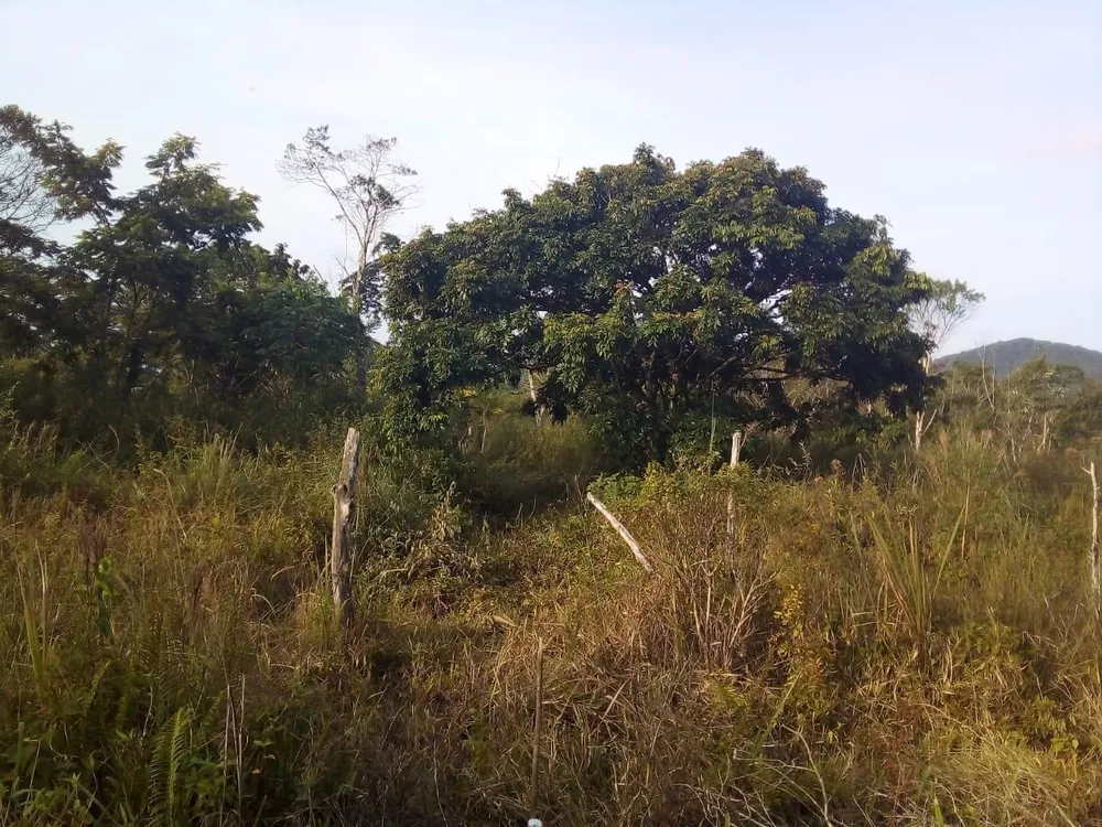 Terreno à venda, 1000m² - Foto 1