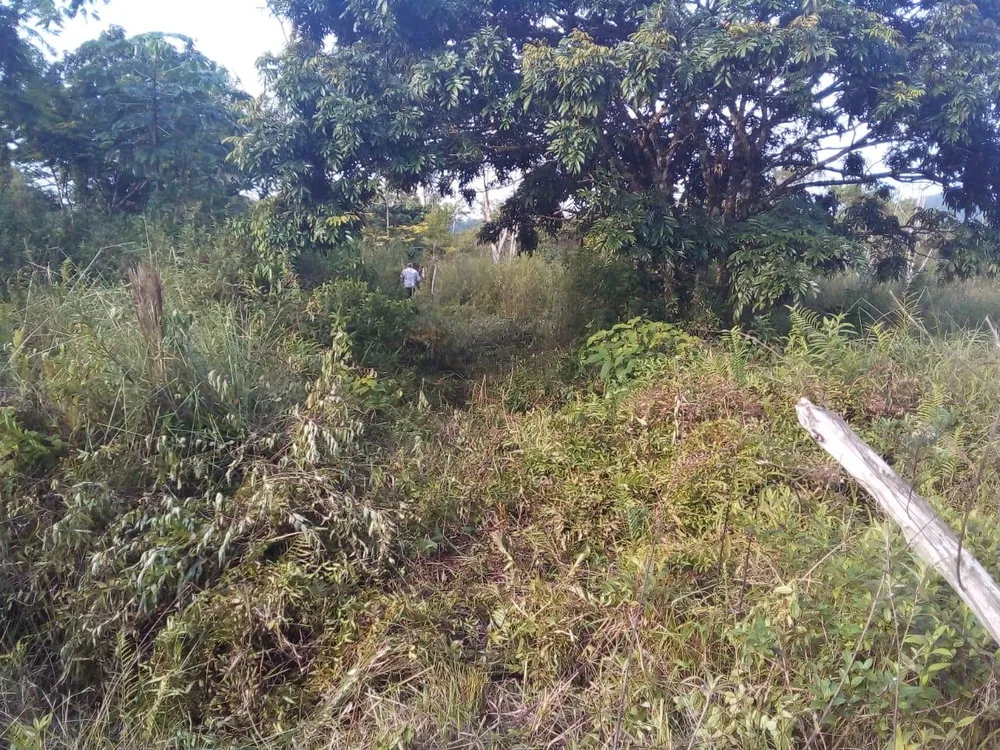 Terreno, 1000 m² - Foto 12