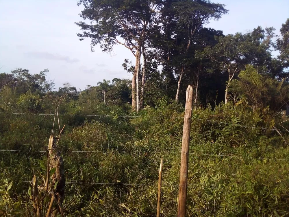 Terreno à venda, 1000m² - Foto 3