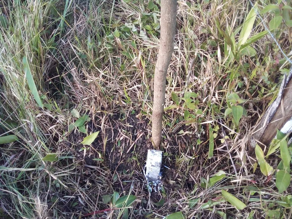 Terreno, 1000 m² - Foto 11