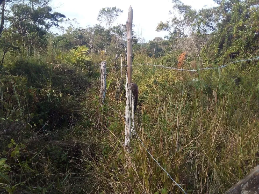 Terreno à venda, 1000m² - Foto 4