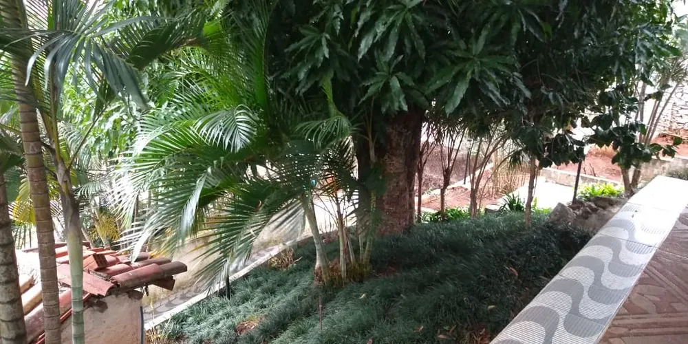 Chácara, 4 quartos, 1000 m² - Foto 12